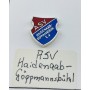 Pin ASV Haidenaab-Göppmannsbühl (GER)