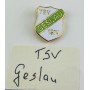 Pin TSV Geslau (GER)
