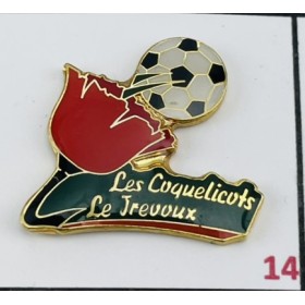 Pin Le Trévoux (FRA)