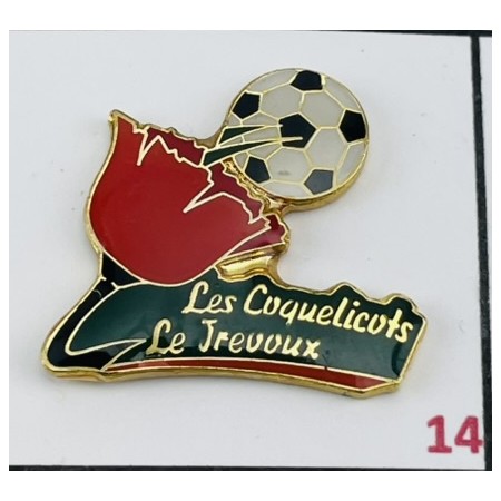 Pin Le Trévoux (FRA)