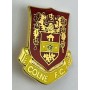 Pin Colne FC (ENG)