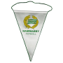 Wimpel Hammarby IF (SWE)