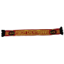 Schal Galatasaray Istanbul (TUR)