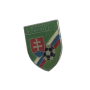 Pin Slowakei, Slovenský futbalový zväz