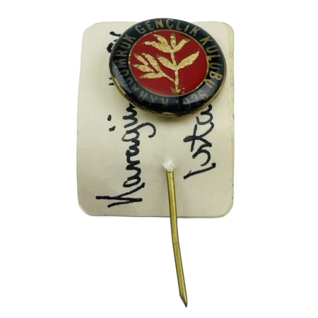 Pin Fatih Karagümrük SK (TUR)