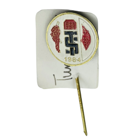 Pin Turgutlu SK (TUR)