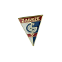Pin Górnik Zabrze (POL)