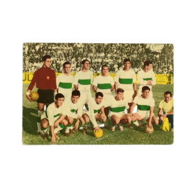 Mannschaftskarte FC Elche (ESP)