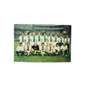 Teamkarte Rapid Wien, 70er Jahre