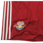 Trikot FC RB Salzburg (AUT), Large, DUDIC 3