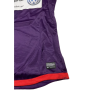 Trikot Austria Wien Amateure, Medium, Nr. 27 PANATIC