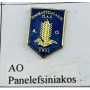 Pin AO Panelefsiniakos (GRE)