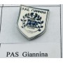 Pin PAS Giannina (GRE)