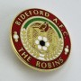 Pin Bideford AFC (ENG)
