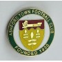 Pin Ashford Town FC (ENG)