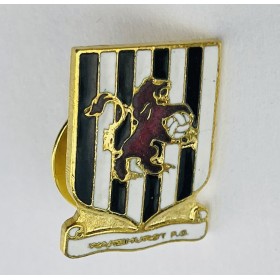 Pin Verein unbekannt