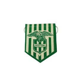 Wimpel Ferencváros Budapest (HUN)