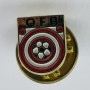 Pin Österreich, Verband ÖFB