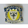 Pin AFC Wimbledon (ENG)