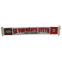 Schal Vorwärts Steyr (AUT), Südtribüne