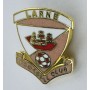Pin Larne FC (NIR)