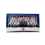 Teamkarte Olympique Lyon (FRA), 2011/2012