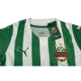 Trikot Rapid Wien (AUT), Kindergrösse 116, neu