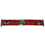 Schal AC Milan (ITA)