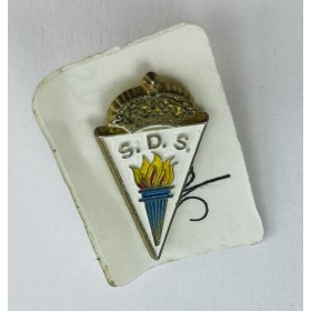 Pin SD Salvatierra (ESP)