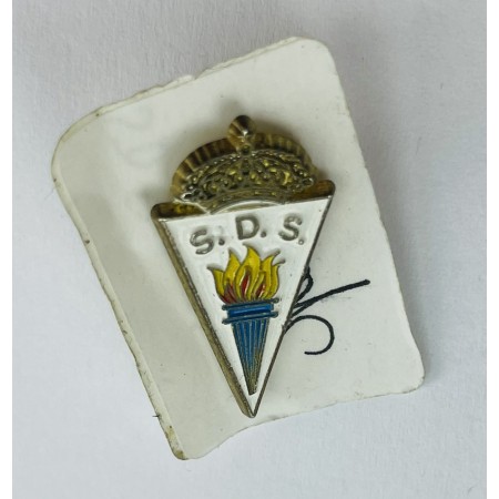 Pin SD Salvatierra (ESP)