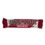 Minischal Bristol City FC (ENG)