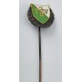 Pin aus Deutschland, Verein unbekannt (GER)