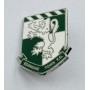 Pin Edgware Town FC (ENG)