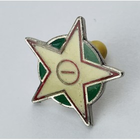 Pin Verein unbekannt