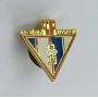 Pin CA Vélez Sarsfield Juveniles (ARG)