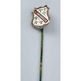 Pin VV Amerongen (NED)