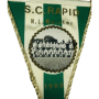 Wimpel Rapid Wien (AUT), Nationalligameister 1968