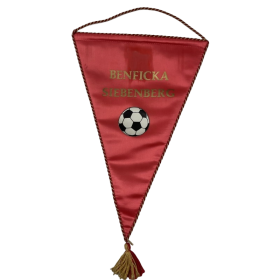 Wimpel Benficka Siebenberg (AUT)