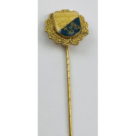 Pin SV Ottbergen (GER)