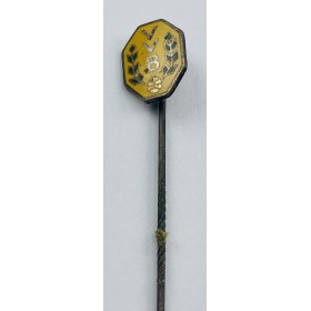 Pin Verein unbekannt