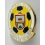 Pin FC Puente Tocinos (ESP)
