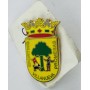 Pin Sporting Villanueva Promesas (ESP)