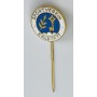 Pin SV Erlstätt (GER)