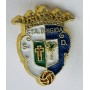 Pin SD Brigida (ESP)
