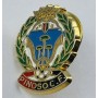 Pin Pinoso CF (ESP)