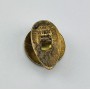 copy of Museum Pin Floridsdorfer Athletiksport Club, FAC Wien (AUT)