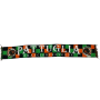 Schal Venezia (ITA), Pattuglia