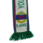 Schal Rapid Wien (AUT), 5 Jahre Stammtisch