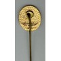 Pin SV Schöfweg 1970 (GER)