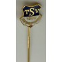 Pin TSV 1902 Gestungshausen (GER)